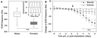 Dynamic Neuron-Glia Interactions in an Oscillatory Network Controlling Behavioral Plasticity in the Weakly Electric Fish, Apteronotus leptorhynchus